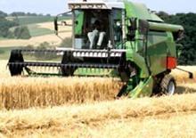 Combine agricole DEUTZ-FAHR 5445 H