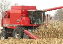 Combine agricole Massey Ferguson 8780 Rotary