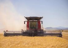 Combine agricole Case IH Axial Flow 6160 
