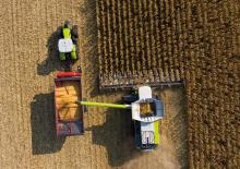 Combine agricole Culegătoare de porumb Claas 16-30c