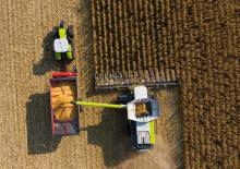 Combine agricole Culegătoare de porumb Claas 8-30c