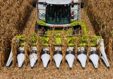Combine agricole Culegătoare de porumb Claas Corio 670 C