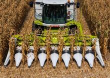 Combine agricole Culegătoare de porumb Claas Corio 870 FC