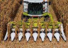 Combine agricole Culegătoare de porumb Claas Corio 890