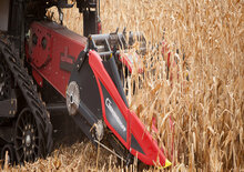 Combine agricole Culegătoare de porumb Geringhoff HSII 800 B