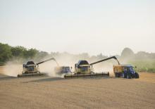 Combine agricole New Holland CX 8090 Elevation