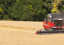 Combine agricole Massey Ferguson Delta 9280
