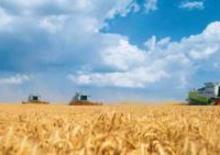 Combine agricole Claas Lexion 600