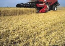 Combine agricole Laverda M 306