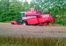 Combine agricole Massey Ferguson MF 2045