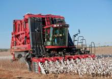 Combine agricole Case IH Module Express 635