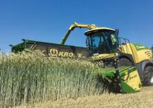 Combine de recoltat furaje 2-WD Krone BiG X 630