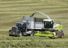 Combine de recoltat furaje 2-WD Claas Jaguar 890