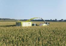 Combine de recoltat furaje 4-WD Claas Jaguar 960