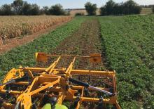 Cultivatoare Agrisem Biomulch 9.00
