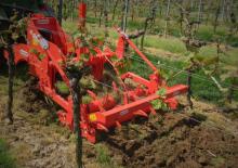 Cultivatoare Maschio Pinocchio 130/3