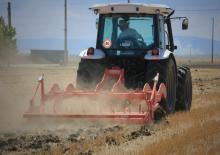 Cultivatoare Maschio Pinocchio 200/5
