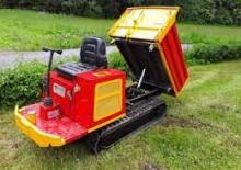 Dumpere pe Şenile Neuson RK 15 D