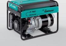 Generatoare de curent pe benzină Eisemann P 7401 E