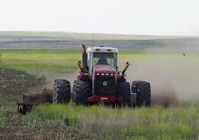 Grape cu disc-zinc Amazone Catros 6002-2