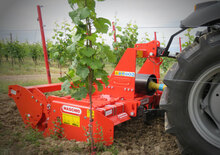 Grape de putere Maschio Delfino 2000