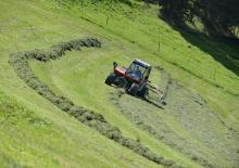 Greble rotative Lely Hibiscus 455