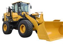 Încărcătoare pe roți SDLG L956F-ABK