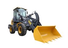 Încărcătoare pe roți XCMG LW180FV