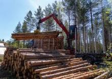 Macarale de încărcat bușteni Loglift F18Z OUT104
