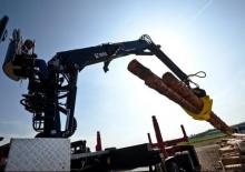 Macarale de încărcat bușteni Loglift F251S 80A