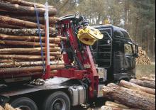 Macarale de încărcat bușteni Loglift F 265Z