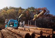 Macarale de încărcat bușteni Loglift F 61 FT 85