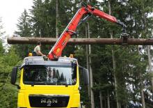 Macarale de încărcat bușteni Epsilon S 300 L 88 HPLS