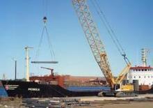 Macarale pe șenile - braț cu zăbrele Liebherr LR 1200
