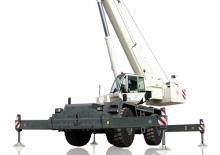 Macarale pentru teren accidentat TEREX CRANES RT 100