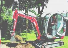 Mini excavatoare Neuson 1902 Force