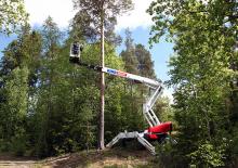 Nacele cu braț articulat pe roți Dino Lift Dino 265RXT