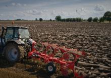 Pluguri Maschio Unico L 4NE