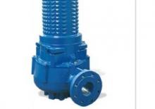Pompe de canalizare Faggiolati G 411 R2C2-P60AA2