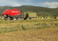 Prese de balotat pătrate + Prese de boltat de densitate mare Massey Ferguson MF 2190 SP