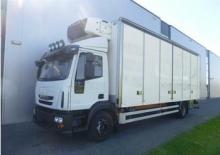 Șasiuri rigide Iveco EUROCARGO ML160E30