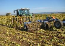 Tamburi/cilindri de nivelat pentru pajiști și terenuri DAL-BO MaxiCut 150