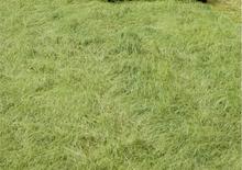 Tractoare 4WD DEUTZ-FAHR Agroplus 410 Ecoline DT