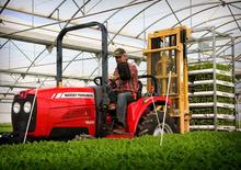 Tractoare 4WD Massey Ferguson MF 1529 MA