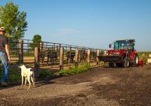 Tractoare 4WD Massey Ferguson MF 1765 M HC 