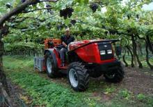 Tractoare 4WD Massey Ferguson MF 3435-4 S