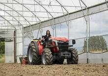 Tractoare 4WD Massey Ferguson MF 3GE.85 