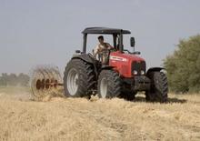 Tractoare 4WD Massey Ferguson MF 4455