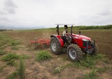 Tractoare 4WD Massey Ferguson MF 4708ST