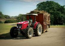 Tractoare 4WD Massey Ferguson MF 5455 Freisicht